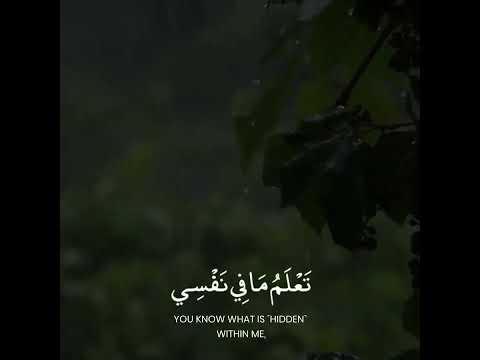 روائع ليلة ٥ رمضان ١٤٤٣ تعلم مافي نفسي ولا أعلم مافي نفسك التراويح كاملة في صندوق الوصف