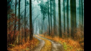 2️⃣Dj Reginaldo Diogo X Los Compadres Lubango - Chely News 🎧 (Non Copy Right) 🎶Reggae & Zouk Music‼