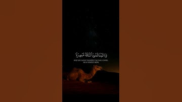 وما منعنا ان نرسل بالآيات | سعد الغامدي