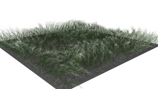 Dynamic Kans Grass creating with Maya 2022 nHair system(arnold renderer)