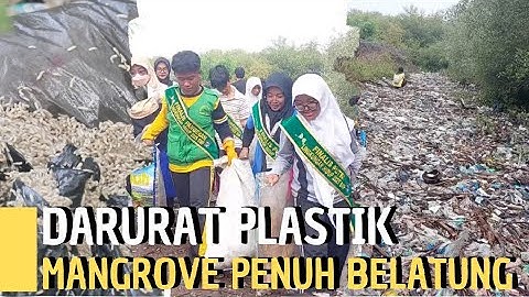 Mangrove Sebagai Benteng Alami Diserbu Sampah Laut & Darat #AKSIke211