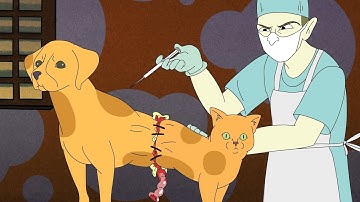 Scientifically Accurate - Catdog