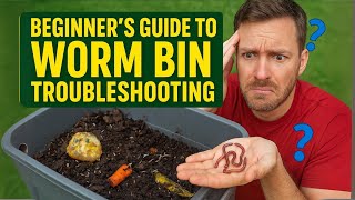 Beginner's Guide to Worm Bin Troubleshooting: Fix Common Vermicomposting Problems