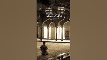 إن الله لا يخفى عليه شىء في الارض ولا في السماء | عبدالرحمن مسعد | سوره آل عمران