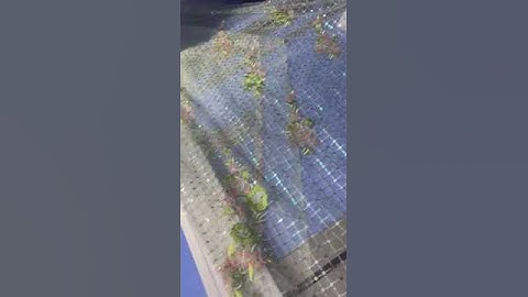 Making of four sequence design in butterfly net #marwafabrics