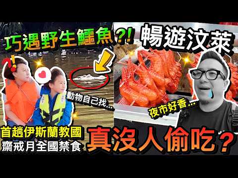 看傻了！搭船遊河竟巧遇到野生鱷魚...汶萊人帶路齋戒月怎麼玩？｜2026汶萊自由行 ep2