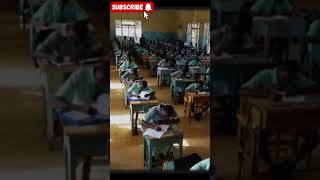 Kpsea Kjsea To Begin Exams Knec