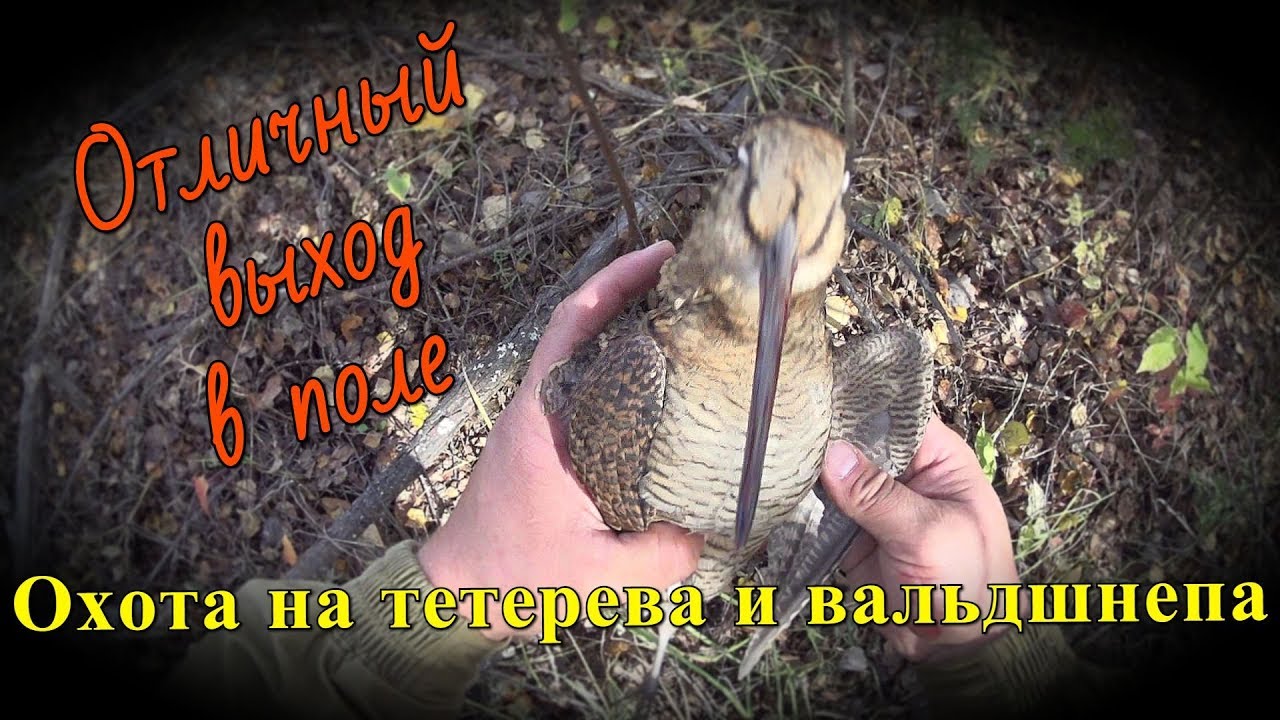 Кто в чем ходит на охоту осенью Кто в чем ходит на охоту осенью