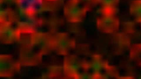 The Immaculate Conception of Little Dizzle - Elizabeth Alavi