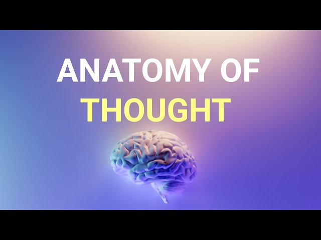 Anatomy Of Thought I Awareness I Mindfulness