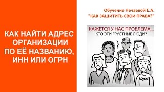 Найти адрес организации по ИНН или названию организации. Нечаева Елена