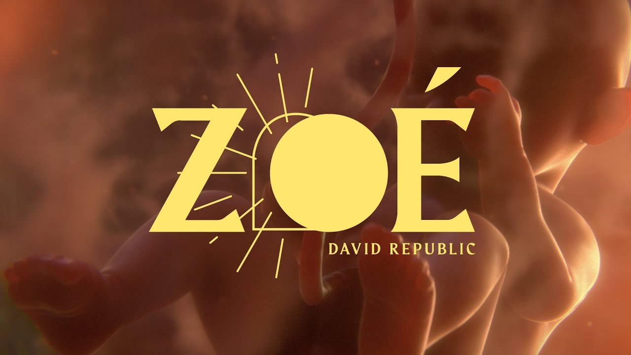 ZOE Lyrics Vidéo YouTube