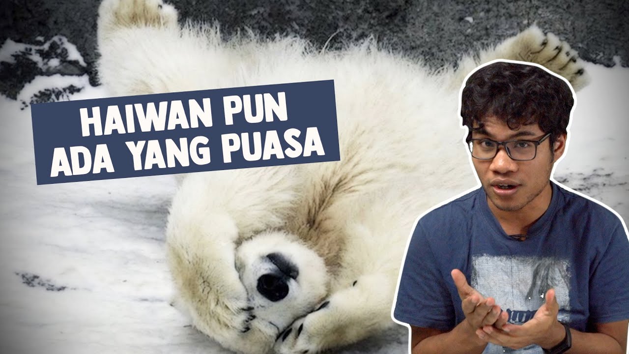 Haiwan Pun Ada Yang Puasa Ml Studios