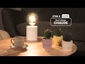 Ampoule LED globe à filament déco – XXCELL – Fumée – E27 – 7 W-1