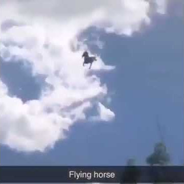 Flying Horse Meme