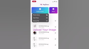 SvgTrace is the all in one tool for SVG Files and vector graphics