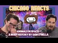 Animals in Space A Brief History by Sam O’Nella | First Time Reactions