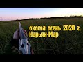 ОХОТА / НАРЬЯН-МАР / ОСЕНЬ 2020 г.