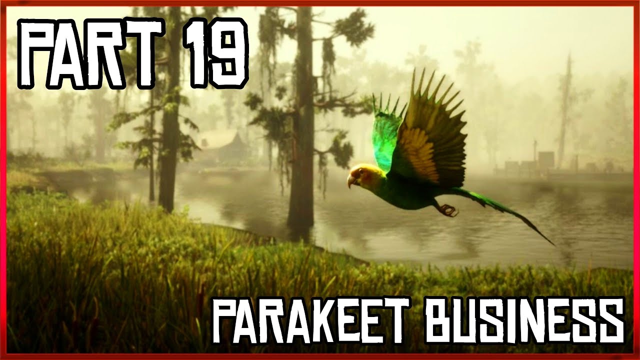 NukaDud Plays Red Dead Redemption II | Part 19 | Parakeet Business