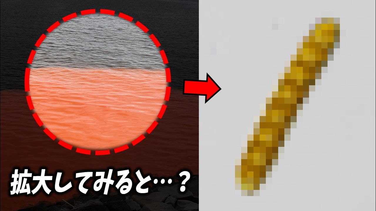 【衝撃注意】赤潮で魚が死ぬ理由…
