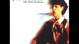 Video thumbnail of "Peter Hammill w/ Graham Smith - Afterwards (Peel Session, 1977)"