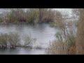 30 апреля в Усть-Каменогорске на Иртыше утонула женщина