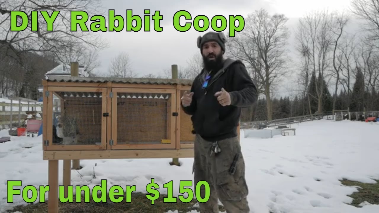 how-to-build-a-rabbit-coop-diyprojects-homestead-youtube