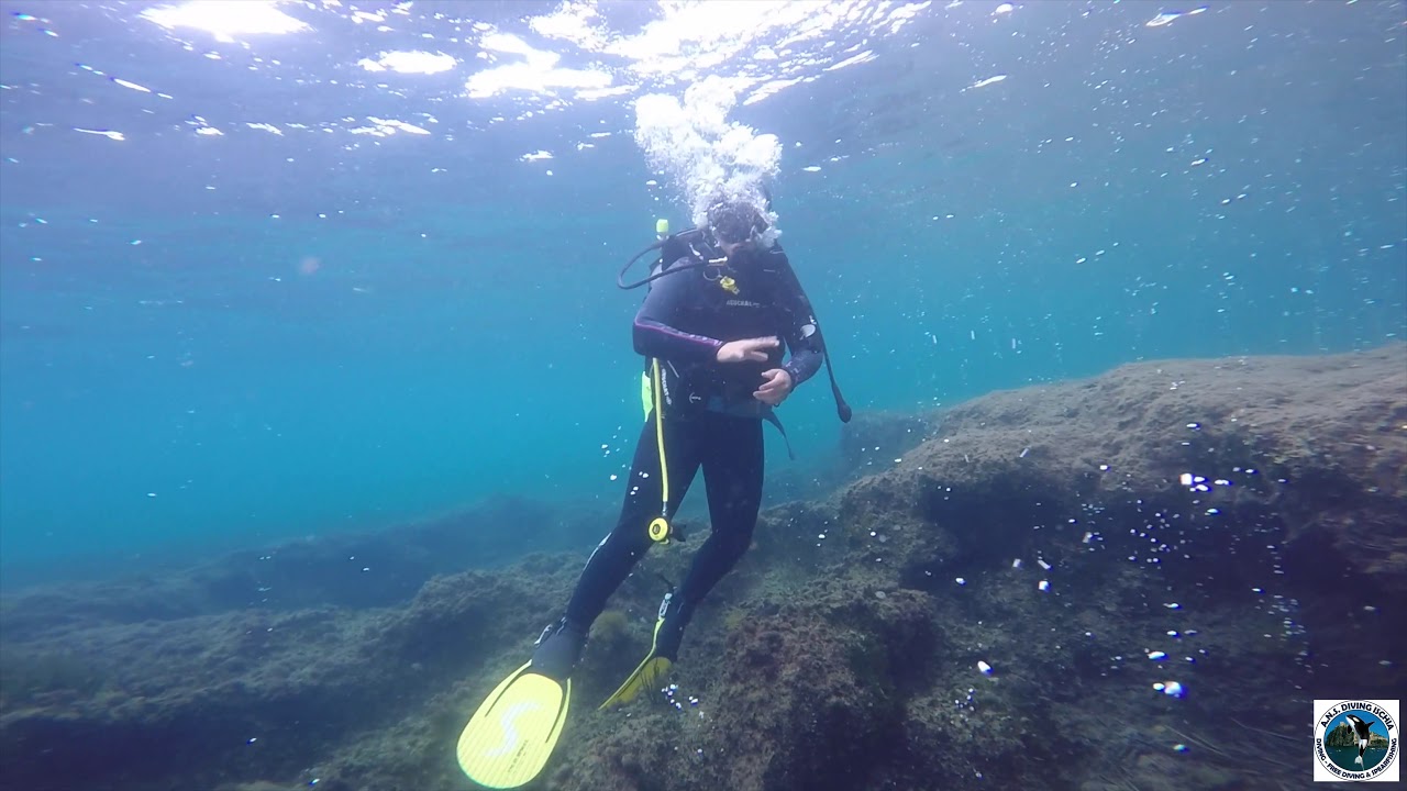 Eudi 2019 Snorkeling Diving Ischia YouTube