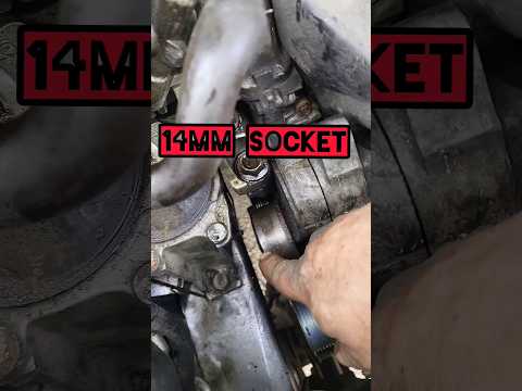 Honda Crv Belt