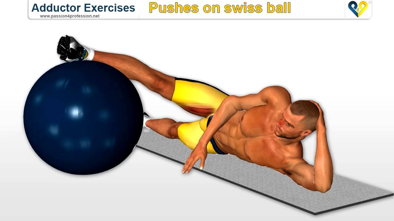 Adductor exercises Pushes on swiss ball for inner thighs YouTube