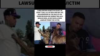 Chris Brown Testifies He Didn't Call 911 After Dog Attack, Citing Privacy Concerns#ChrisBrown#shorts