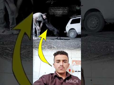 اذا احبك الله احبك كل من حولك  اكسبلور سعادة متابعه