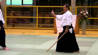 Tissier Shihan Extertal Seminar Kenjutsu5