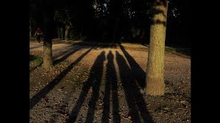 chasing the last warm sunlight