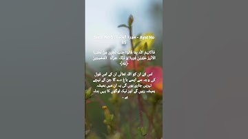 Surah Al Maidah سورة المائدة - Ayat No 85 #surahmaidah @quranpeaceofmind