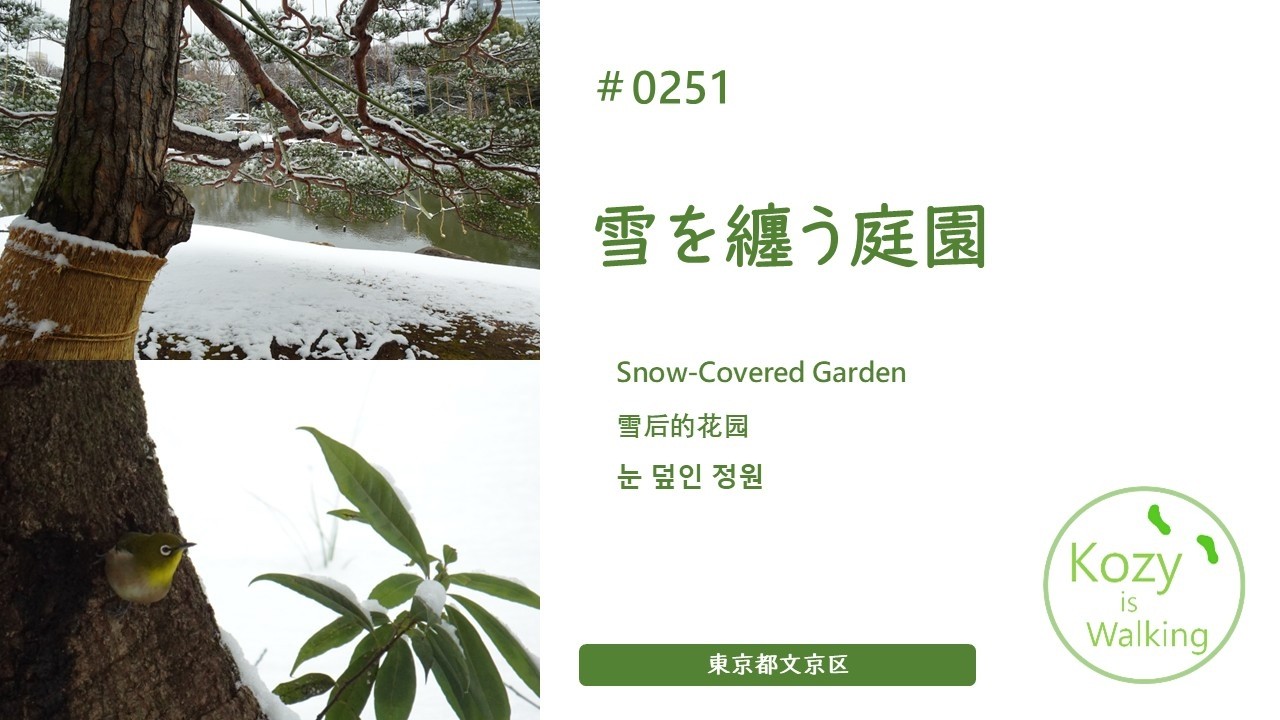 0251 雪を纏う庭園