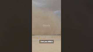 #11 Sand from the Sahara literally fertilizes the Amazon rainforest  #facts #amazon #nature #viral