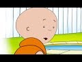 Caillou at the Swimming Pool | Caillou Cartoon