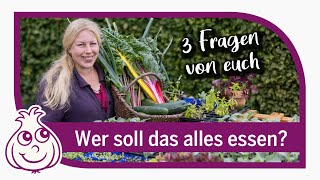 Wieso bauen wir so viel Gemüse an?! Gartenrundgang Juli