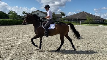 At Home with Glenbeigh Farm | Counter Canter | Show Jumping Training Tips