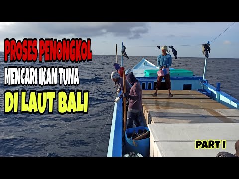 Indonesia Tuna