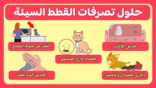 حلول تصرفات القطط السيئة الأكثر شيوعًا