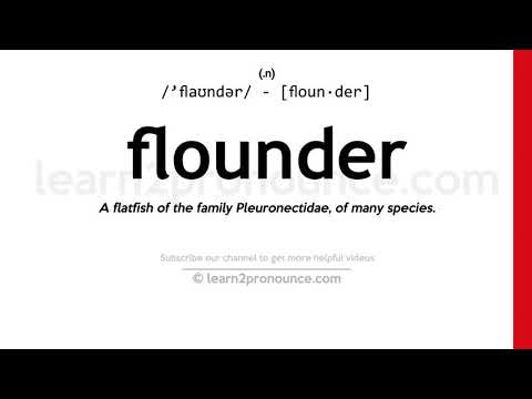 Pronunciation of Flounder | Definition of Flounder