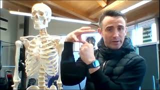 L3 Sports Massage Therapy Diploma: UNIT 1; Section 4   Joints