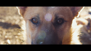 Vignette de la vidéo "PUNKREAS - Fermati e Respira (Official Video)"