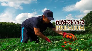 カゴメトマトジュースPREMIUM「その特別なおいしさの理由は。」