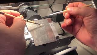 How to place a frozen tissue section on a coverslip