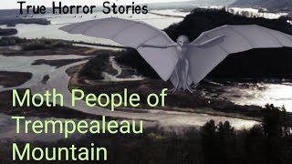 True Horror Stories - Moth People of Trempealeau Mountain
Please note that I did not write this story, nor do I own any of the stock footage or music used in this video. They belong to their respective owners and I merely used them for entertainment purposes only. This video contains mature content thats not suitable for younger audiences. Viewer discretion is advised. Thank you for your understanding.
Thank you for watching and enjoy the video!
Discord - https://discord.gg/hCFj7M2
This story comes from Phantoms and Monsters: Pulse of the Paranormal.
http://feedproxy.google.com/~r/PhantomsAndMonstersAPersonalJourney/~3/pn9MhczJXsE/bizarre-winged-cryptids-nest-observed.html?utm_source=feedburner&utm_medium=email
MUSIC USED: free horror background music True Horror Stories - Moth People of Trempealeau Mountain
