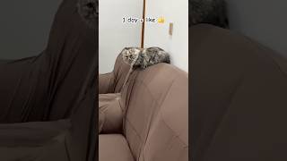 How Long Would You Keep Me?