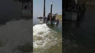 Celebrity dreger  350 Wealth